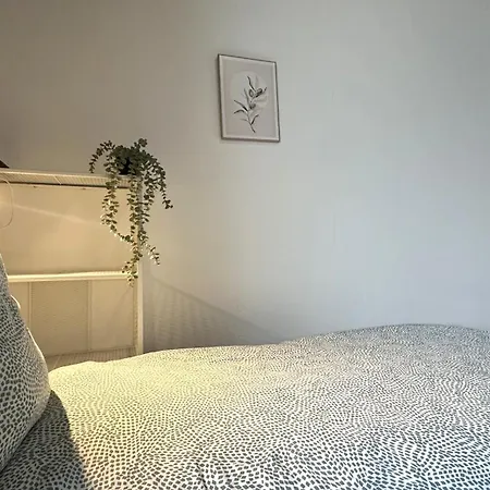 Apartmán Grosszuegige Handwerkerwohnung - Viel Platz Und Voll Ausgestattet
